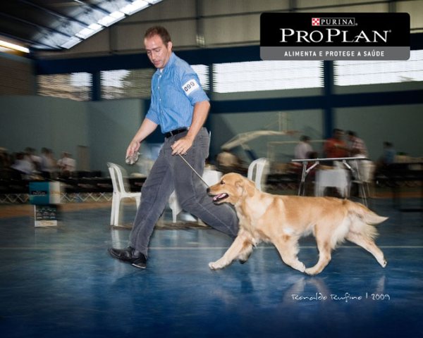 Clique sobre a foto para fechar